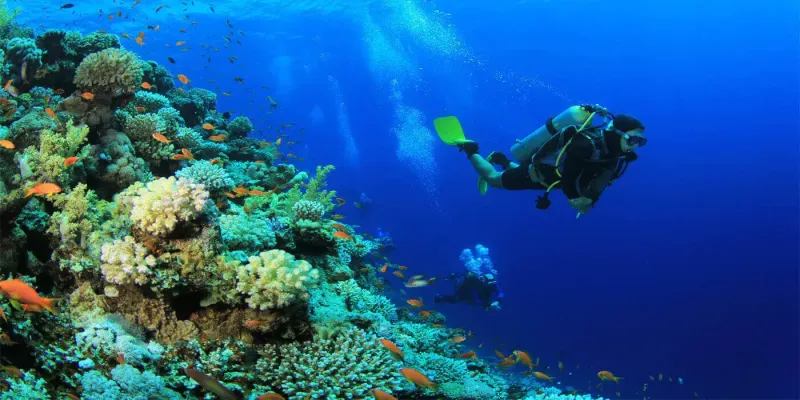 Nile cruise and Red Sea package — snorkelling at Hurghada reef after Nile cruise temples Egypt Best Nile Cruises